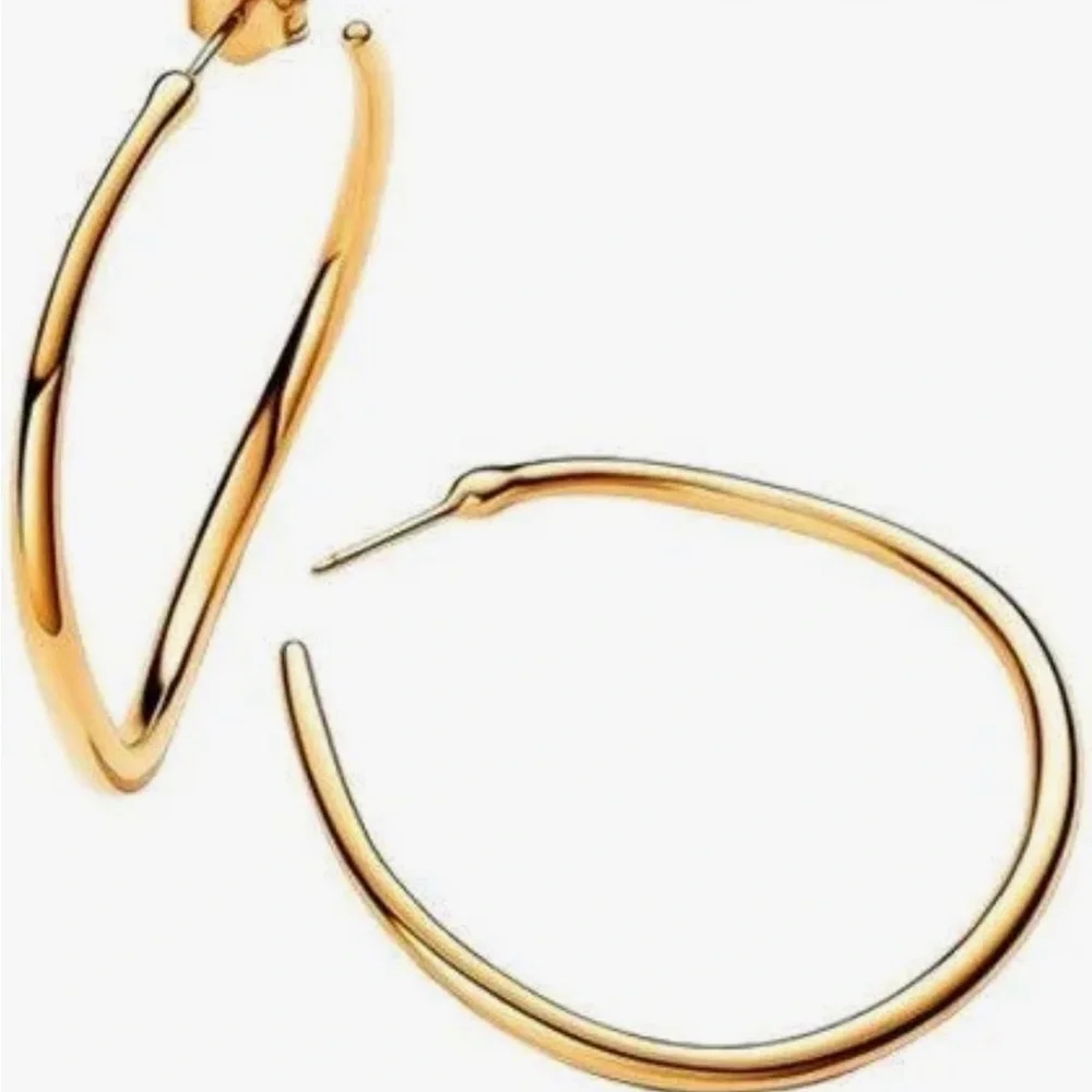 NWOT, Women’s Pandora set, ring size 9 and open Hoop earrings. - Picture 4 of 5
